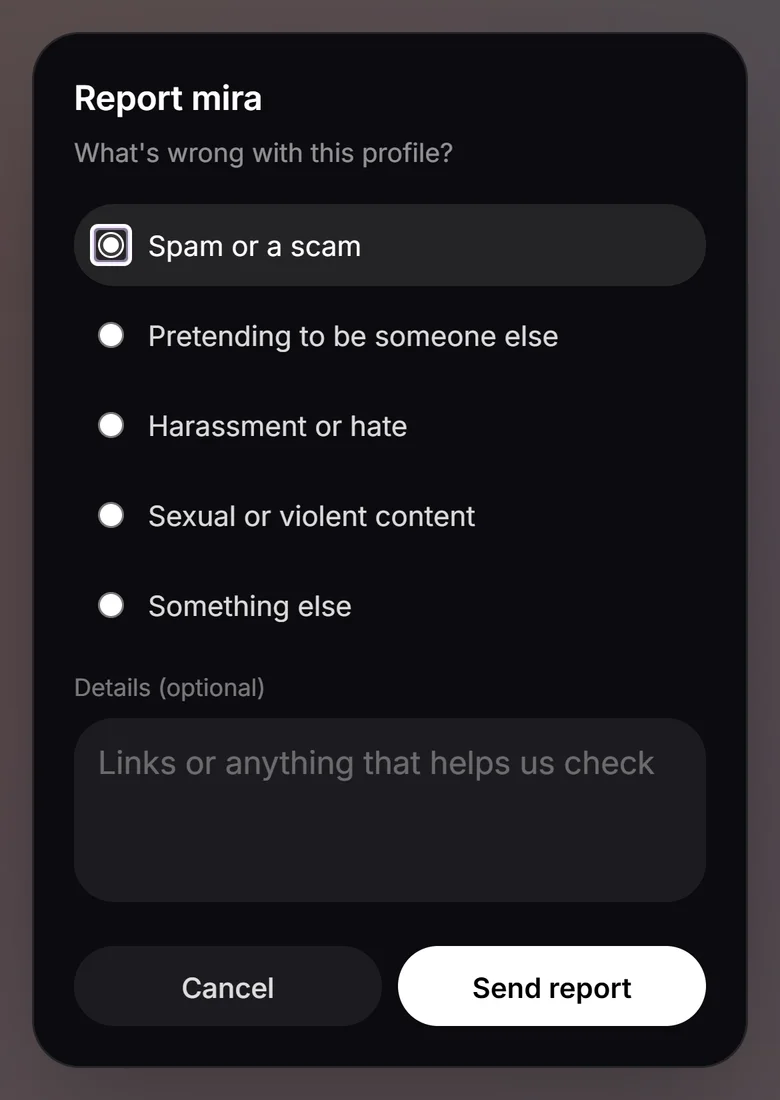 The report dialog on a profile with the reasons listed