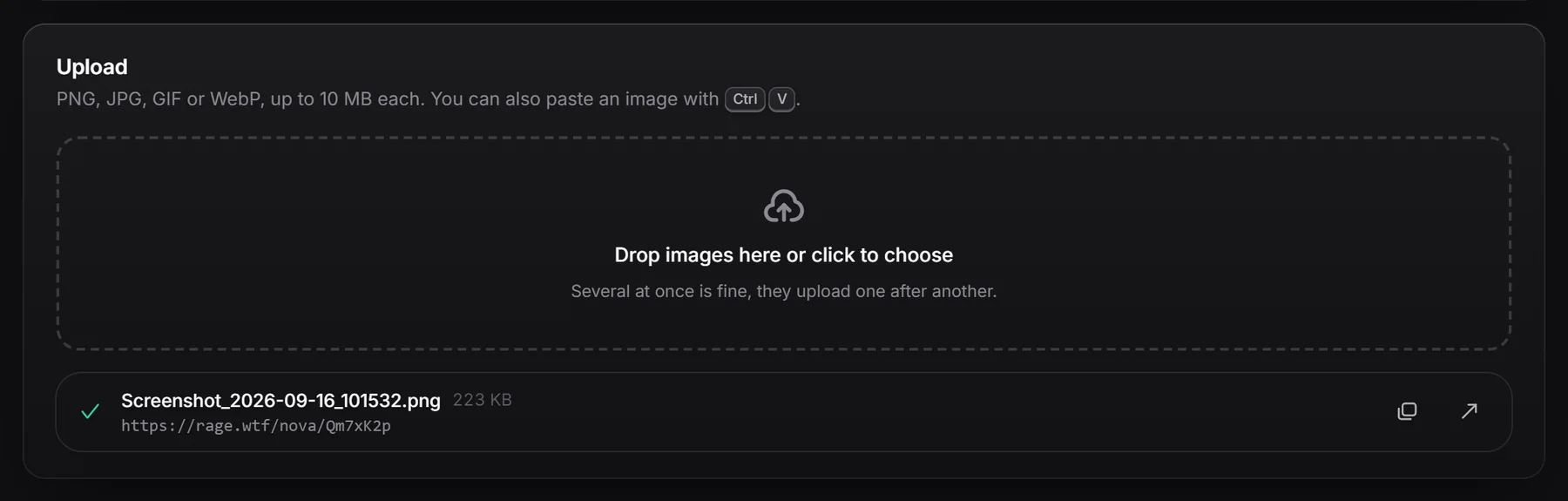 The Upload box with one finished upload and its copy and open buttons